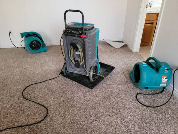 Best Water damage contractors near me  in Eufaula, OK