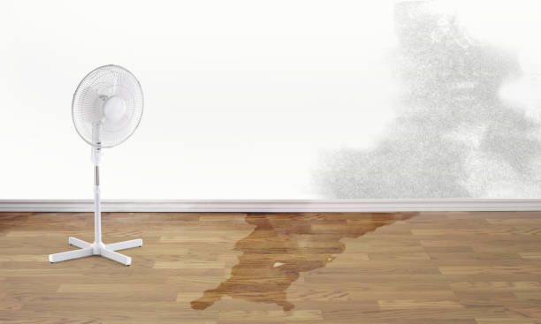Best Commercial water damage restoration  in Eufaula, OK